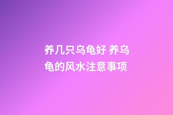 养几只乌龟好 养乌龟的风水注意事项